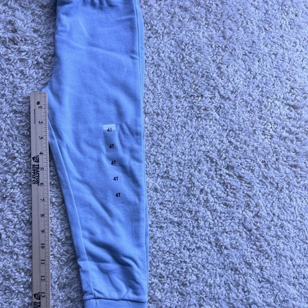 GIRLS CHIRLDREN’S PLACE JOGGER LIKE PANTS SIZE 4T NWT
